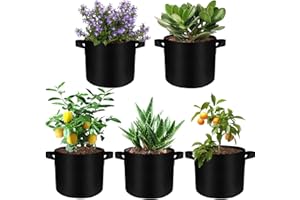Solaverano 5 Pièces Sacs de Plantation 20L, 30cm de Diamètre, 25cm de Hauteur, Sac de Plantation Non Tissé avec Poignées, pour Plantes, Fraises, Fleurs, 35 x 28 cm Noir