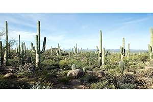 MIRRORANG 91x41cm Terrario Sfondo Blu Cielo Deserto Oasi Pietra Cactus Rettile Habitat Sfondo Durevole Vinile Sfondo