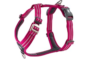 DOG Copenhagen Hundegeschirr V2 Walk Harness (Air) Wild Rose Größe XL