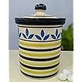 KITTENS Handcrafted Multipurpose Ceramic Food Storage Jar with Lid Used for storing Cookies Pickle Dry Fruits at Home and Kitchen - 750 mL (Set of 1, Handpainted in Multi color)