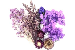 QZKJQDD Suszone kwiaty, do majsterkowania, suszyć, rzemiosła, dekoracji, żywicy epoksydowej, scrapbookingu, tworzenia kart