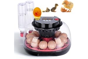 MASXIRCH Incubadoras AutomáTicas para Incubar Huevos 12 Incubadoras de Huevos con Volteo AutomáTico y Control de Humedad, Candler de Huevos, ReposicióN AutomáTica de Agua Para Pollos Codornices Patosturcos