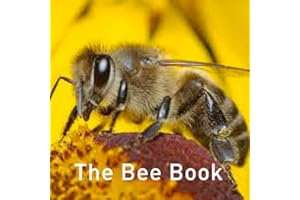 The Bee Book (Nature Book)