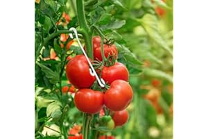 KINGLAKE Tomatenhaken Tomaten Haken - 100 Stück Pflanzenclips, Tomateclips, Tomate J stützhaken, Tomatenhalter Tomatenklammern Für Kletterpflanzen Gemüse Tomate