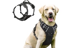 Funkeen Hundegeschirr für Kleine, mittelgroße und große Hunde Anti Zug Geschirr No Pull Sicherheitsgeschirr Brustgeschirr Dog Harness Weich Gepolstert verstellbar Atmungsaktiv Schwarz (Schwarz, S)