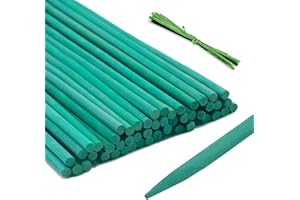 KINGLAKE 50 szt. zielonych patyczków podtrzymujących rośliny, 60 cm, bambusowe paliki do roślin, pałeczki kwiatowe, do orchidei, groszku i warzyw, 60 cm