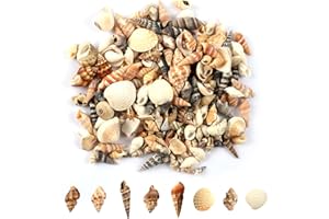 MsTeco Muscheln, 200g Muschel Deko Kleine Shells Mixed Muschelschale Natürliche Muscheln zum Basteln für Kerzenherstellung, Heimdekomischungen, Aquarium und Vase Füllstoff (0.3-3cm)