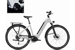 ‎DERUIZ DERUIZ E Bike 28 Zoll Mittelmotor Elektrofahrrad, 250W 80Nm E-Bike, 48V 13.4Ah Lithium-Akku, Shimano 9 Gänge ebike, cityräder 25 km/h bis zu 120 km…