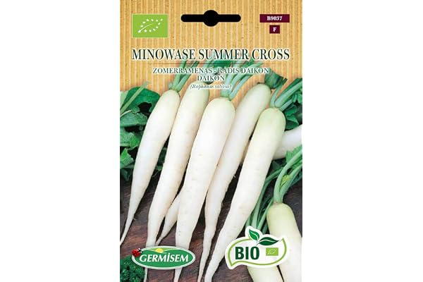 Germisem Bio Graines Radis daikon MINOWASE SUMMER CROSS