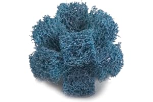 CUBITRON Standard Abrasives 37185-case Buff and Blend Cross Buff HS 265022, 1 in x 3/8 in x 2 Ply x 8-32 A MED, 10 per case Blue (Pack of 10)