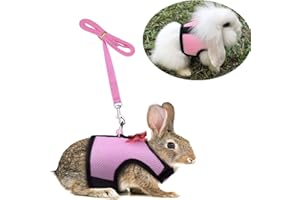 Hypeety Bunny Kitten Harness No Pull Cat Leash Stylish Vest Harness for Small Animal Adjustable Soft Breathable Walking Harness Set (PINK, M)