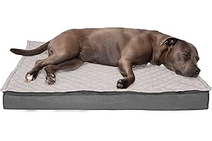 FurHaven Grande letto per cani in memory foam, resistente all'acqua, per interni ed esterni, trapuntato, materasso convertibile con rivestimento rimovibile e lavabile, grigio, grande