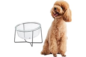 AHX Comedero Perro Elevado con Soporte - Comedero Gato Cristal para Agua y Comida - Comederos y Bebederos para Perros Mediano | Gatos Grande - 850ml