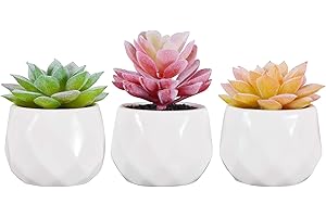 Zalava Plantas Artificiales Decorativas, 3Pcs Plantas Suculentas Pequeñas en Maceta para Hogar, Oficina, Baño, Cocina, Interior y Exterior