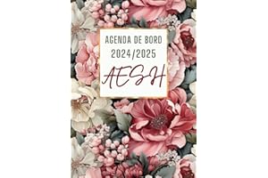 Agenda de Bord AESH 2024 2025: Organiseur Semainier 2024-2025 AESH | Planificateur avec 45 Fiches de suivi des élèves en situation de handicap | Format A4.