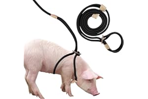 DNOIFNE Mini Pig Harness & Leash, Adjustable 2.6 m Long Rope for Small to Medium Pet Pigs