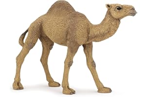 Papo - 50151 - Figurine - Animaux - Dromadaire