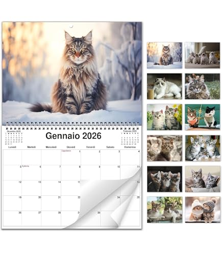 Calendrier Mural 2026 Halloween - Films D'Horreur & Chats - Format 28x21.5 Cm