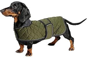 Geyecete - Warmer wintermantel für dackel Hunde,Hunde Winterjacken mit plüschfutter,Outdoor jacken mit verstellbaren gürtel und Kabelbaumloch,für mittelgroße und Kleiner dackel-Armee Grün-S
