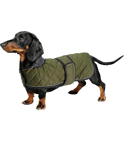 Henry Wag Trockenschicht Für Hunde Größe M – Wasserabweisender Mantel, 45 Cm Rückenlänge, Brust 60-64 Cm