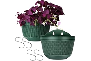 CUNQN Pflanzgefäß Wandbehang Blumentöpfe Hängend Drauss Pflanzgefäße Kunststoff Blumentopf mit Haken für Balkon Zaun 2 Stück