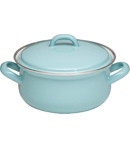 Generisch Riess, 0608-111, Pentola per carne con coperchio, 20 cm, 3,5 l, in acciaio smaltato, verde, 1,676 kg, 20 cm di diametro, 3,5 litri, 28 x 21,8 x 13,4 cm