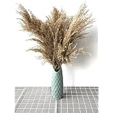alyones Ger&ccedil;ek Kuru &Ccedil;i&ccedil;ek 7'li B&uuml;y&uuml;k Boy 100 cm Pampas