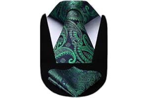 HISDERN Ensemble cravate et mouchoir à motif cachemire fleuri extra long pour homme