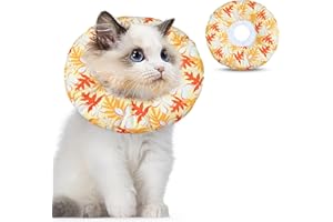 Kytpyi Halskrause Katze, Katzenkragen, Fleckenbeständige Einstellbare(17-27cm) Halskrausen für Katzen oder Hündchen, Atmungsaktive wasserdichte Baumwolle Katzen Halskrause zur Wundheilung(Orange)