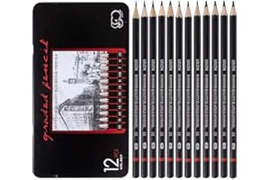 OTMVicor Sketch Pencil Set,12 Pieces Drawing Pencils,Art Pencil Set(8B-2H) for Beginners,Kids,Adults and Artists