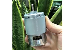 DEEBOW Getriebemotor, 775/755 elektrischer Bohrmotor, DC 12 V, 14,4 V, 18 V, 24 V, RS-775WC RS-755VC DC-Motor, hohe Geschwindigkeit, großes Drehmoment (Geschwindigkeit (U/min): RS 775WC 8514 18 V) (Size : R