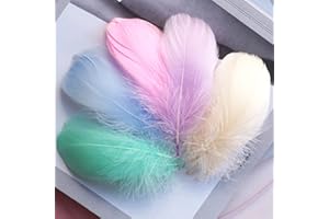 MTBRICEY 200 Pezzi Piume per Artigianato 7-13cm Piume d'oca Naturali Piume Colorate Ornamento Fantasy Grandi Piume per Artigianato Fai da Te Riempitivi per Scatole Regalo Decor Acchiappasogni (Style C)