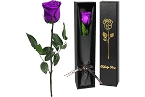 Yamonic Rose Eternelle Cadeau Fete des Meres,Vraie Rose Eternelle Violette avec Tige Fête des Mères,Fleur Préservée en Coffret Cadeau Maman, Fleur Eternelle Cadeau Femme, Cadeau Anniversaire Femme