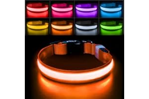 PcEoTllar Collier Lumineux Chien, Collier LED pour Chien Rechargeable & Etanche & 7 Couleurs, Réglable Collier Lumineux pour Petits Moyens Gros Chiens, Collier Chien Fluorescent Nuit, Orange-L