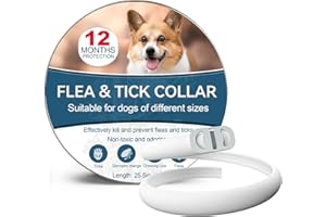 PAISTELY Collar Antiparasitario Perros, Seguro y Eficaz Collares Antiparasitos Perros, 12 Meses de Eficacia Collar Antipulgas Perro de 65 cm para Perro Pequeños, Medianos y Grandes (65cm) (65cm)