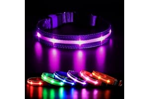 MASBRILL Obroża świecąca dla psa, obroża z oświetleniem dla psa wielokrotnego ładowania i wodoodporna, regulowana obroża LED z 3 trybami oświetlenia dla małych średnich dużych (fioletowa) M