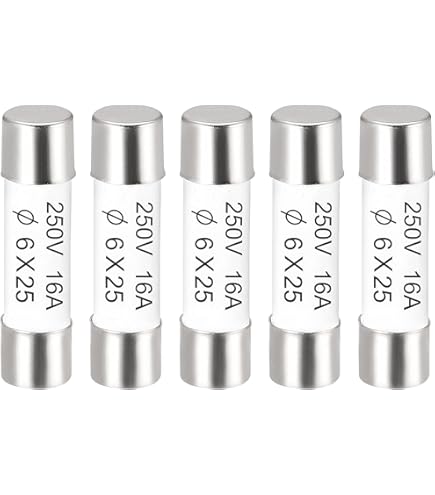 QUARKZMAN AC 250V 10A 6 X 30mm Fusibles à Cartouche En Verre X 10Pcs à Soufflage Rapide Pour La Protection Des Circuits, [Tonalité Argentée
