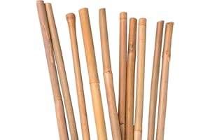 UNUS Bastoncini di bambù, 10 pezzi, per piante in bambù, 150 cm, colore naturale