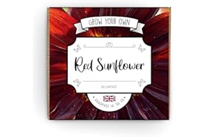 THE LOVELY STUFF COMPANY Grow Your Own Red Sunflower Kit - Complete Beginner Starter Kit | Easy Instructions | Made in UK | Perfect Gardening Gift for Any Occasion