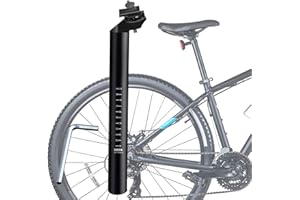 Dzmuero Tige de Selle, Tiges de Selle pour vélo, Vélo Tige de Selle, avec clé hexagonale, Tube de Selle de vélo, Alliage daluminium Haute dureté, Angle et Hauteur réglables (25,4 x 300 mm, Noir)
