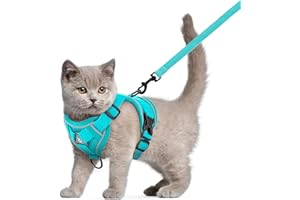 YSQEVN Arnés para Gatos con Correa Ajustable Antiescape Reflectantes Arneses Tipo Chaleco Cuerda de Adiestramiento para Cachorros Conejo M