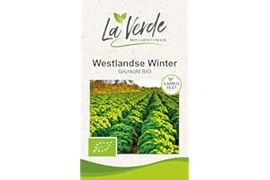 LA VERDE MEIN GARTEN UND ICH. Grünkohl Westlandse Winter BIO