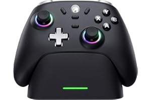 ECHTPower PC Wireless Controller, 1000Hz Gaming-Controller mit RGB/Hall-Joystick/Turbo/Vibration/800mAh Wiederaufladbare Batterie, Wireless-Controller für PC/Switch 2/Switch/Steam (Ladestation)