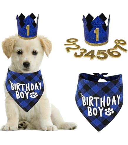 Hondank Hond Bandanas Dinosaurus Fiets Driehoek Slabbetjes Sjaaltjes Voor Medium Grote Huisdier Puppy Kat Hond Hoofddoek Voor Zomer Lente 2 Pack Hondank Hond Bandanas Dinosaurus Fiets Driehoek Slabbetjes Sjaaltjes Voor Medium Grote Huisdier Puppy Kat Hond Hoofddoek Voor Zomer Lente 2 Pack