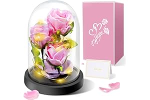 Touloube Rosa Eterna Regalos del Día de la Madre, Regalo de Flor para Mamá, Novia -3 Rosas de Seda Rosa con Luz LED en una Cúpula de Cristal para el Día de la Madre Aniversario Cumpleaños