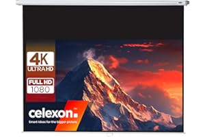 celexon Economy Écran de Projection Manuel 100" | 220x124 cm 16:9 | Écran 4K, Full-HD Extensible manuellement pour Les Projections Home Cinéma & Bureau | Montage Mural & au Plafond/à Suspendre