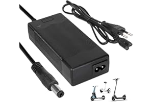 HPGAAVD 42V 2A Cargador Patinete Electrico，36 V Cargador Universal de Baterías Litio para Patinete，Cargadores rápidos para E-Bikes，Scooter Eléctrico DC2.1×5.5MM