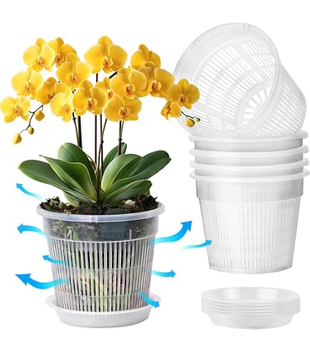 Stewart Plastics - Sottovaso per orchidea, ⌀ 13 cm, Plastica, Clear, 13x12x0.47 cm