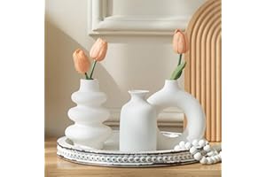 [AiiBowy] Set di 3 Vaso Ceramica Bianco - Vasi Ceramica Bonsai - Vasi Opachi Deco Per l'erba Della Pampa, Per Centrotavola, Vaso Moderni Decorativi Per la Decorazione Della Casa (Bianco Set di 3)