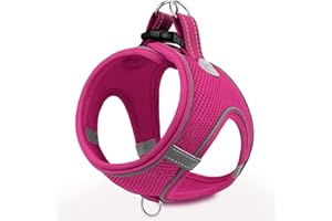 Joytale Arnes Perro, Reflectante Cómodo Transpirable Arnés, Perros Arneses Chaleco para Gato y Cachorros Perro, Rosa Caliente, XXXS